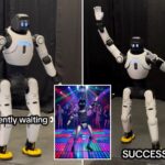 texas-company-hits-party-circuit-with-robot-escorts-for-special-occasions