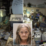 hoarder-mail-carrier-trapped-over-100-cats,-dogs-stolen-from-her-route-in-feces-filled-florida-house-of-horrors