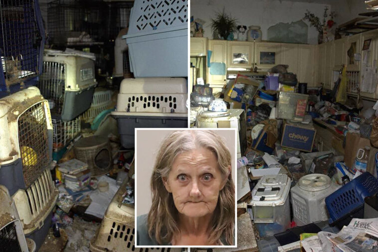 hoarder-mail-carrier-trapped-over-100-cats,-dogs-stolen-from-her-route-in-feces-filled-florida-house-of-horrors