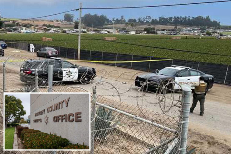 police-make-pair-of-horrifying-discoveries-just-miles-in-apart-in-northern-california