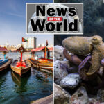 news-of-the-world:-what-you-missed-this-week-internationally