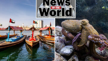 news-of-the-world:-what-you-missed-this-week-internationally