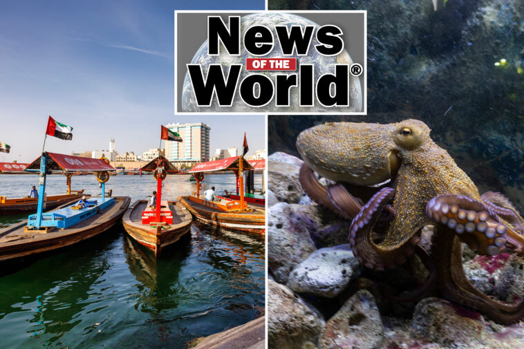 news-of-the-world:-what-you-missed-this-week-internationally