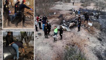 13-tourists-killed-in-plane-crash-near-peru’s-famed-nazca-lines-during-viewing-flight
