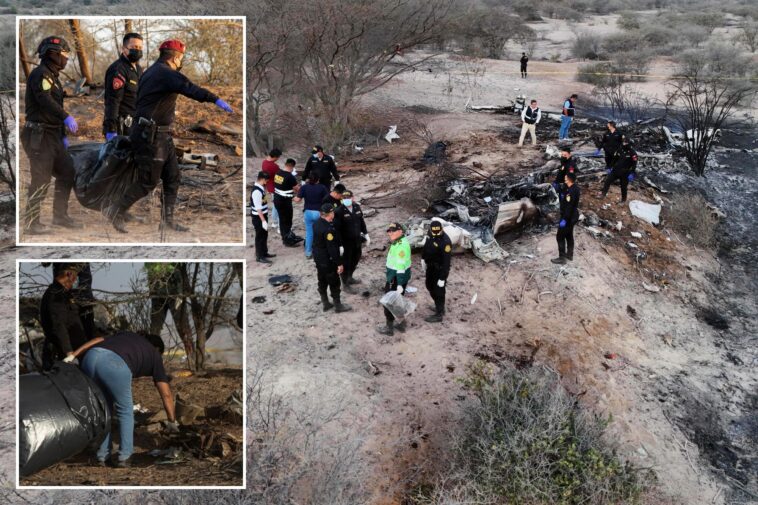 13-tourists-killed-in-plane-crash-near-peru’s-famed-nazca-lines-during-viewing-flight