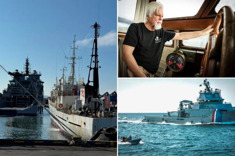 iceland-seizes-paul-watson-foundation’s-anti-whaling-ship,-detains-21-crew-members