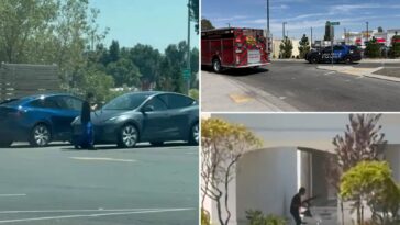 idaho-in-n-out-worker-was-shot-dead-by-‘disgusting-human-who-doesn’t-value-lives-of-others-or-his-own,’-chain-owner-says