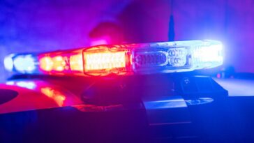 anti-violence-activist-allegedly-stabs-woman-with-box-cutter