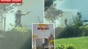hero-armed-citizen-opened-fire-on-idaho-in-n-out-gunman,-tried-to-stop-shooting-that-left-2-dead,-7-wounded:-harrowing-video