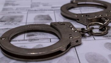 four-dudes-with-somali-names-plead-guilty-to-bilking-medicaid-under-company-called-‘brilliant-minds’