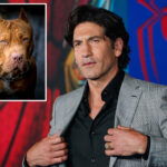‘punisher’-star-jon-bernthal-says-pit-bulls-are-victims-of-‘dog-racism’:-‘a-lot-of-bulls–t’