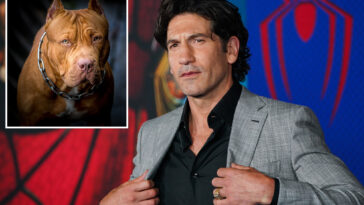 ‘punisher’-star-jon-bernthal-says-pit-bulls-are-victims-of-‘dog-racism’:-‘a-lot-of-bulls–t’