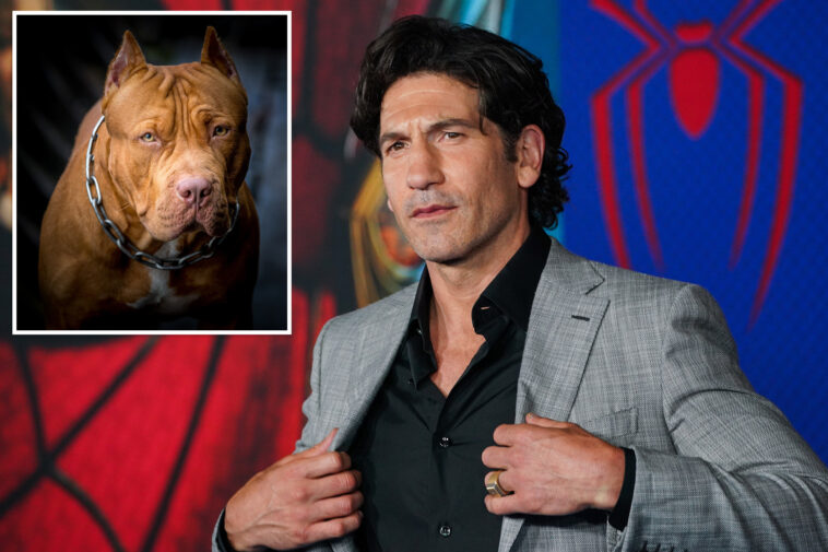 ‘punisher’-star-jon-bernthal-says-pit-bulls-are-victims-of-‘dog-racism’:-‘a-lot-of-bulls–t’