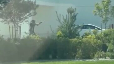 hero-bystander-jumps-in-when-shooter-opens-fire-at-in-n-out-burger