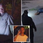 creepy-moment-man-with-a-dog-is-caught-prowling-hollywood-star-nia-long’s-hollywood-hills-mansion