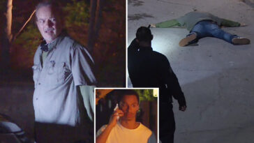 creepy-moment-man-with-a-dog-is-caught-prowling-hollywood-star-nia-long’s-hollywood-hills-mansion