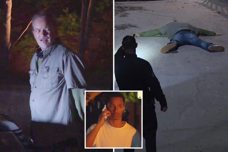 creepy-moment-man-with-a-dog-is-caught-prowling-hollywood-star-nia-long’s-hollywood-hills-mansion