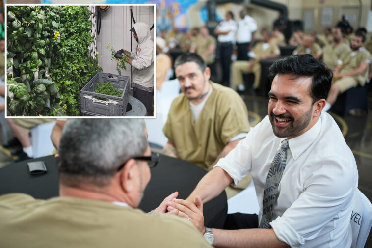 mamdani-admin-to-turn-felons-into-gourmet-food-producers-for-‘farm-to-table’-dining-at-nyc-jails