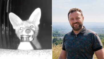 homeowner-blames-‘militant-vegan’-for-missing-milk-before-camera-reveals-real-thief