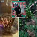 cornell-shuts-down-claims-of-‘60%-neanderthal’-ny-bigfoot,-setting-off-fuming-sasquatch-hunter