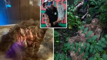 cornell-shuts-down-claims-of-‘60%-neanderthal’-ny-bigfoot,-setting-off-fuming-sasquatch-hunter