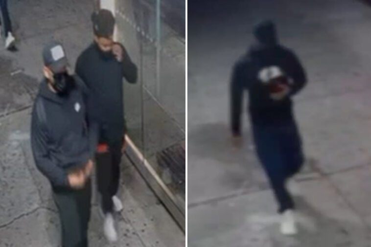 thugs-pistol-whip-woman-before-snatching-$343,000-in-cash-and-goods-from-nyc-home
