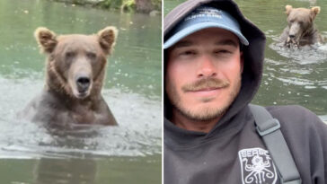 fisherman-takes-selfie-in-front-of-ravenous-grizzly-in-beary-dangerous-stunt