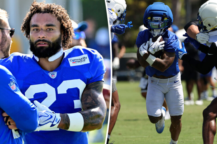 rams-might-have-found-new-punt-returner-after-nfc-championship-gaffe
