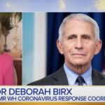 dr.-birx-does-damage-control,-throws-fauci-under-the-bus-after-disastrous-hearing-(video)