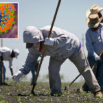 mass-measles-outbreak-threatens-central-valley-after-farmworkers-left-arizona
