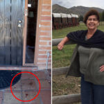 bungling-nancy-guthrie-probers-ignored-blood-on-porch,-thinking-it-was-unrelated,-and-opened-crime-scene:-report