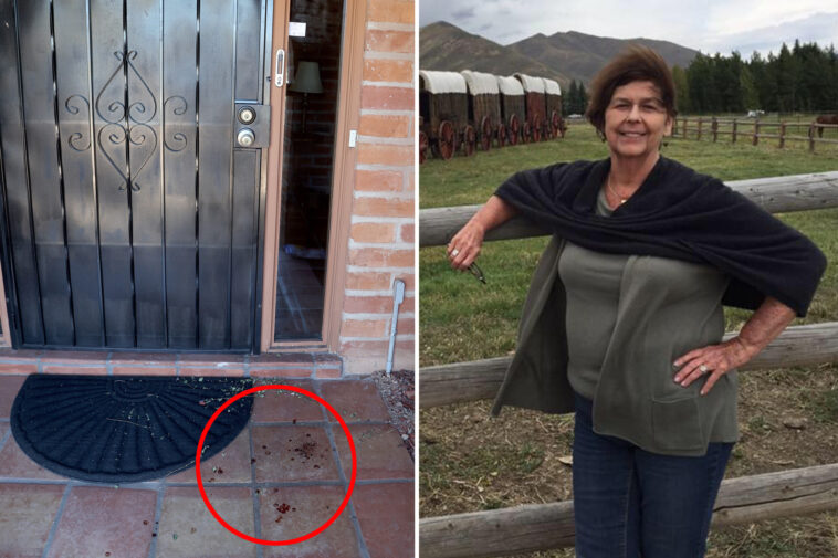 bungling-nancy-guthrie-probers-ignored-blood-on-porch,-thinking-it-was-unrelated,-and-opened-crime-scene:-report
