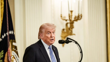 trump-reveals-why-he-still-talks-to-the-fake-news