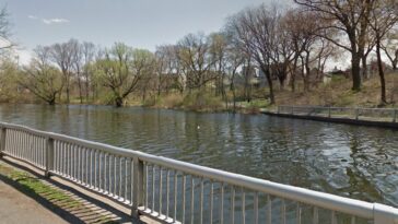 preschooler-nearly-drowns-in-nj-lake-—-but-quick-thinking-bystanders,-cops-save-her