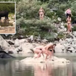 moose-gets-shockingly-close-to-colorado-swimmers:-video