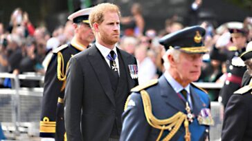 king-charles-makes-risky-move-toward-prince-harry-as-prince-william-‘remains-wary’:-experts