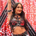 wwe-star-brie-bella-‘in-a-lot-of-pain’-following-injury-at-summerslam,-sister-says
