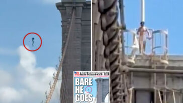 naked-nutjob-who-leaped-from-brooklyn-bridge-and-miraculously-survived-identified