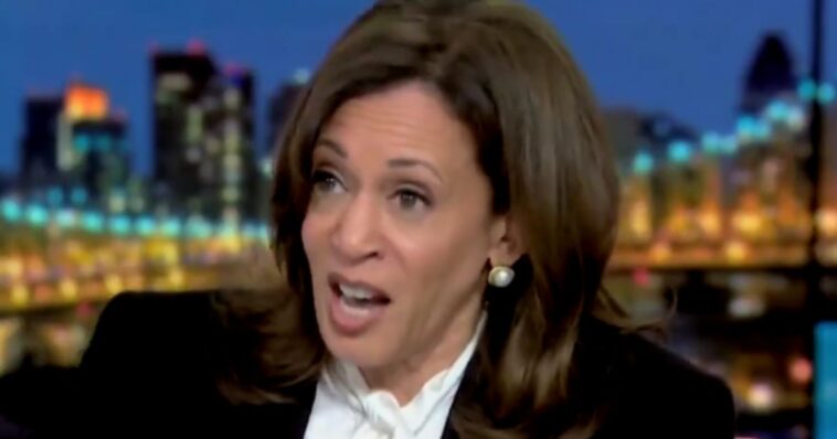 wayne-root:-commie-kamala-harris-the-world’s-biggest-hypocrite-she-chooses-to-live-“100%-white-with-no-blacks-in-sight.”