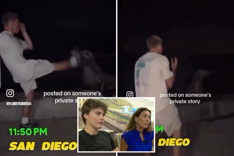 teen’s-three-word-joke-turns-his-life-upside-down-as-he’s-outed-as-the-vicious-sea-lion-fighter