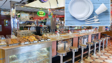 nj-diners-fume-over-new-‘skip-the-stuff’-law-affecting-take-out-orders:-‘next-will-be-toilet-paper-in-public-bathrooms’