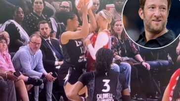 dave-portnoy-fumes-after-sophie-cunningham-called-for-foul-after-getting-hit-with-elbow