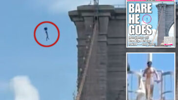 the-surprising-reason-why-brooklyn-bridge-naked-nutjob-may-have-survived-‘overwhelmingly-fatal’-plunge