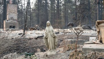 major-pacific-northwest-city-devastated-by-massive-wildfires