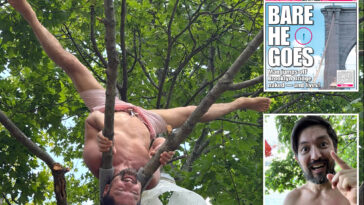 naked-nutjob-in-miracle-jump-off-brooklyn-bridge-is-kazakhstan-activist-who-plotted-plunge-on-birthday:-roommate
