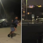 wild-moment-car-drives-onto-venice-pier-sparking-panic-among-beachgoers