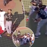 ex-mlb-prospect-punches,-kicks-infielder-in-head-in-wild-mexican-league-brawl