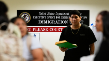 pro-migrant-advocates-flood-courts-with-deluge-of-immigration-lawsuits