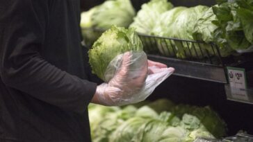 the-lettuce-outbreak-just-took-a-deadly-turn