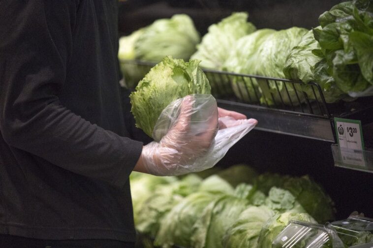 the-lettuce-outbreak-just-took-a-deadly-turn